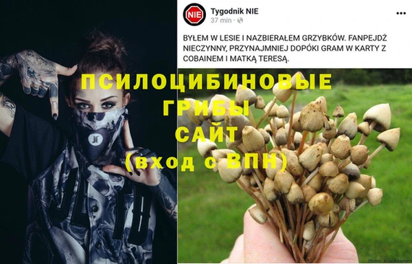 герыч Абинск