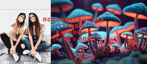 амф Алексеевка