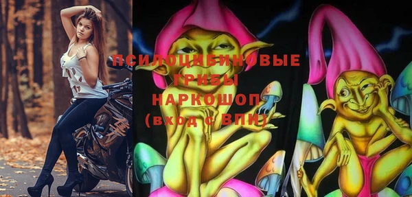 mix Арсеньев