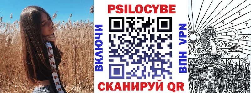 Псилоцибиновые грибы Cubensis  Ухта 